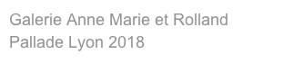 Galerie Anne Marie et Rolland Pallade Lyon 2018