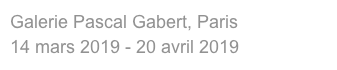 Galerie Pascal Gabert, Paris 
14 mars 2019 - 20 avril 2019